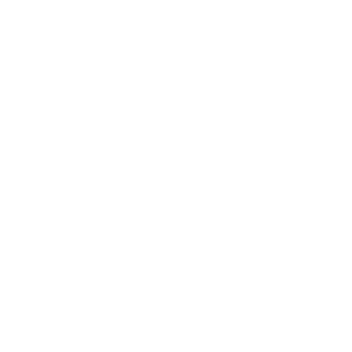 Founding Time 2025
